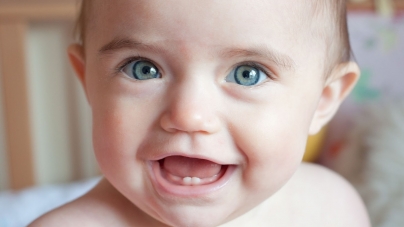 Ближе к первому полугодию у ребенка прорезываются молочные зубы.